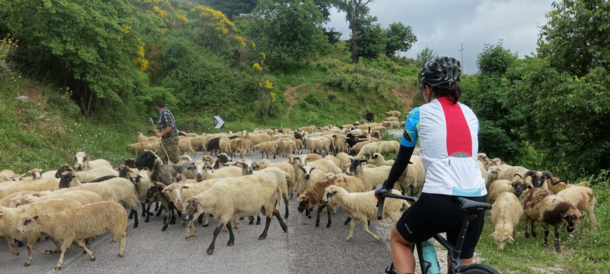 Photos from our Albania - North to South Cycling Holiday